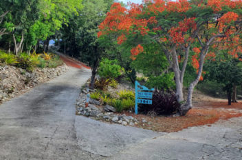 Bruces Drive