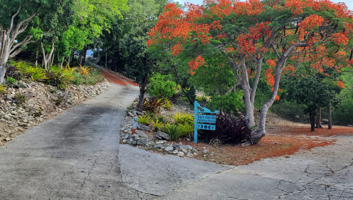 Bruces Drive